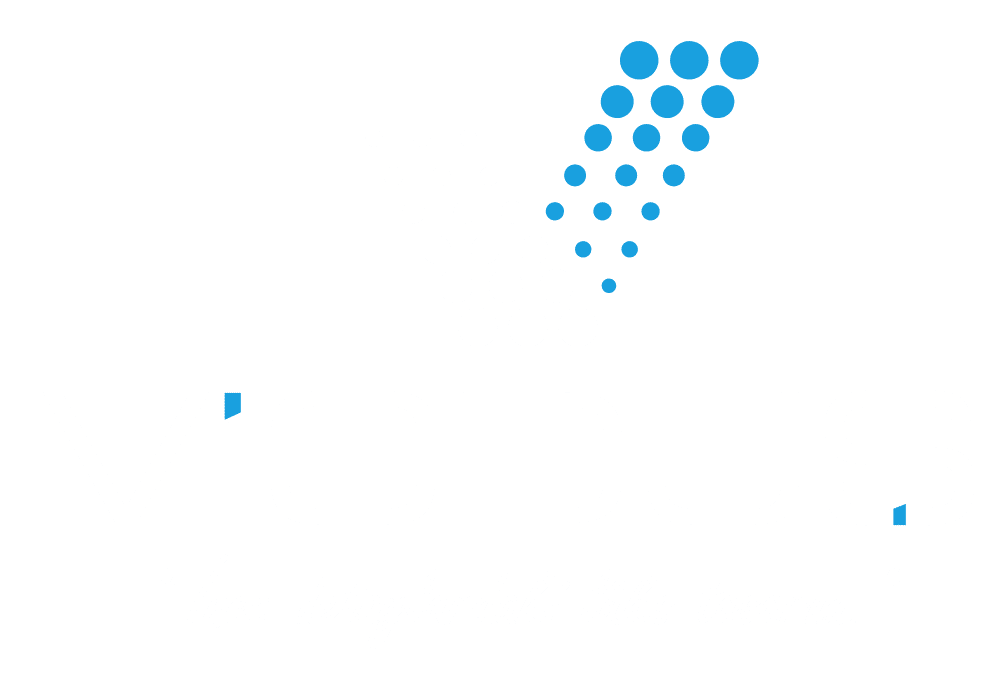 VİODUŞ